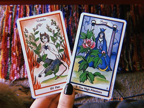 Harnessing the Power of the Green Witch in Tarot Readings